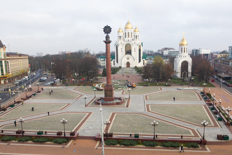 В Калининграде начали устанавливать главную новогоднюю ёлку (фото) - Новости Калининграда | Фото: Александр Подгорчук / &quot;Клопс&quot;