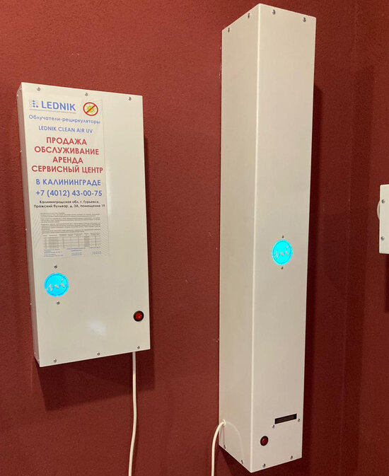 Как защитить себя и своих сотрудников от COVID-19 - Новости Калининграда