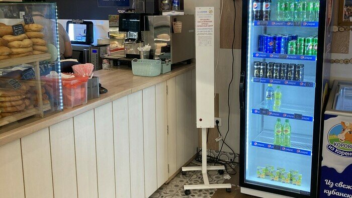 Как защитить себя и своих сотрудников от COVID-19 - Новости Калининграда