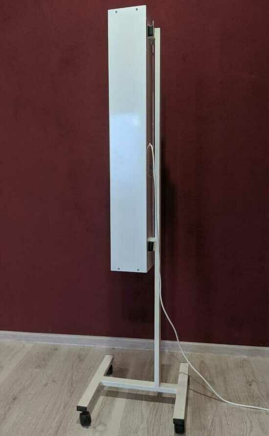 Как защитить себя и своих сотрудников от COVID-19 - Новости Калининграда