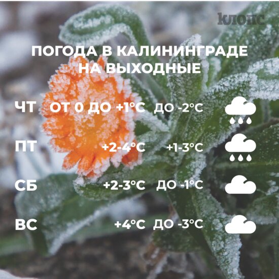 До -1 и мокрый снег: погода в Калининграде на выходные - Новости Калининграда