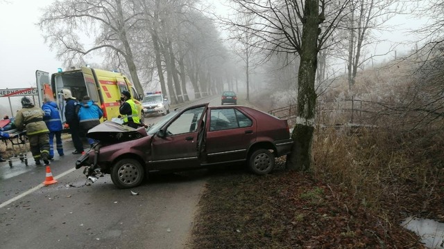 Под Черняховском легковушка врезалась в дерево, есть пострадавший (фото)