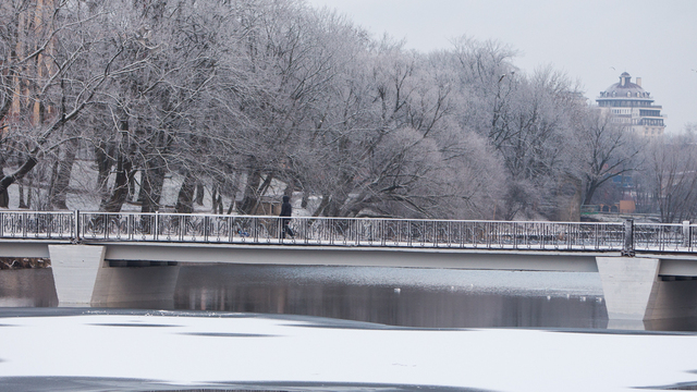 Калининградскую область в среду накроет тёплый циклон 
