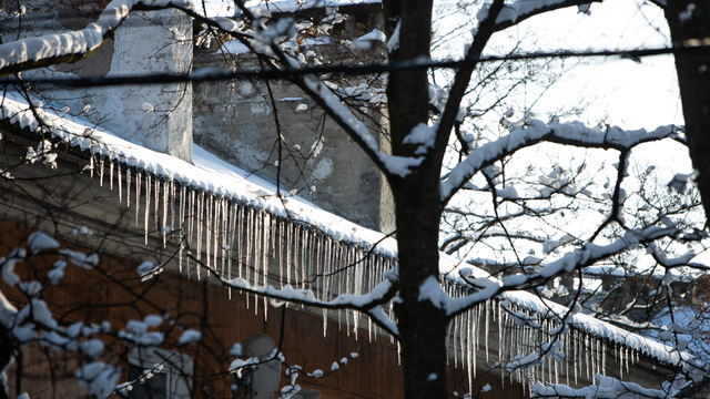Синоптики рассказали о погоде в Калининграде на первые выходные февраля