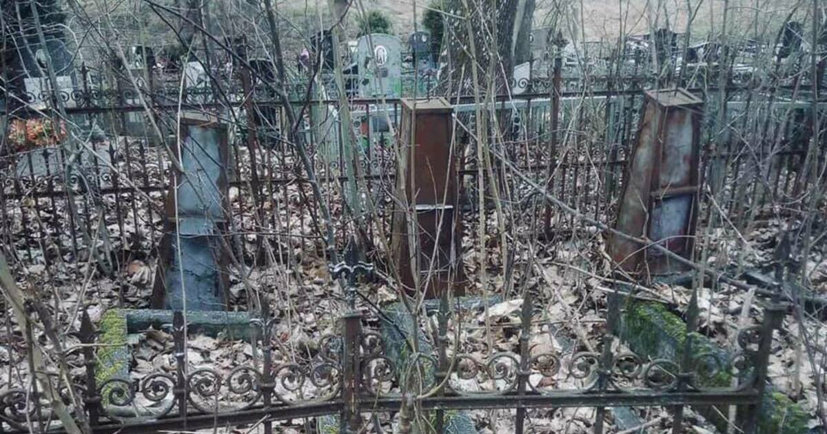 Погиб при испытаниях: в Нивенском нашли заброшенную могилу лётчика, которого искала украинская родня