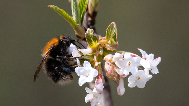 +18 и дождь: погода в Калининграде на рабочую неделю