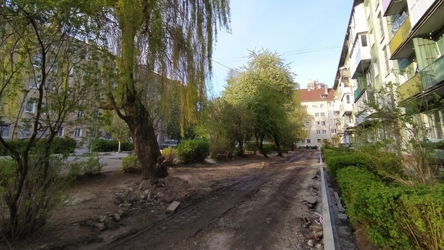 В Калининграде зелёный двор решили закатать в асфальт, жители встали на защиту деревьев  