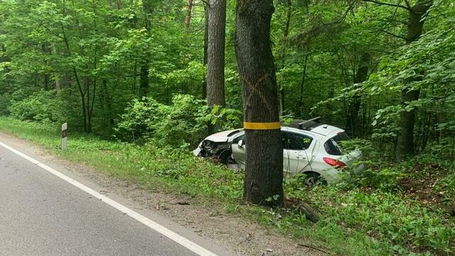 В Калининградской области двое водителей пострадали при столкновении машин с деревьями (фото)