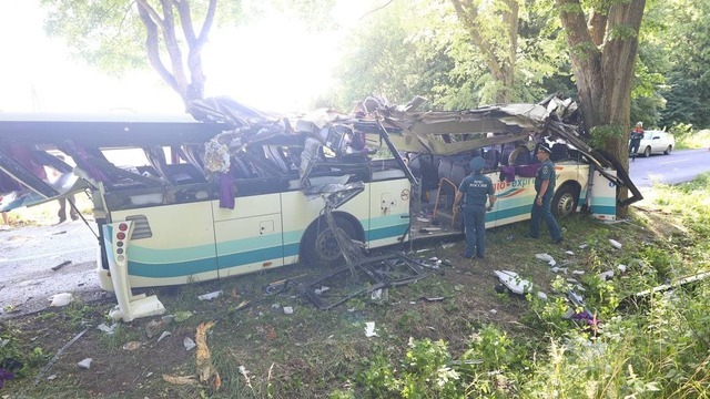 Перевозчик рассказал о состоянии пассажирского автобуса, попавшего в ДТП под Янтарным