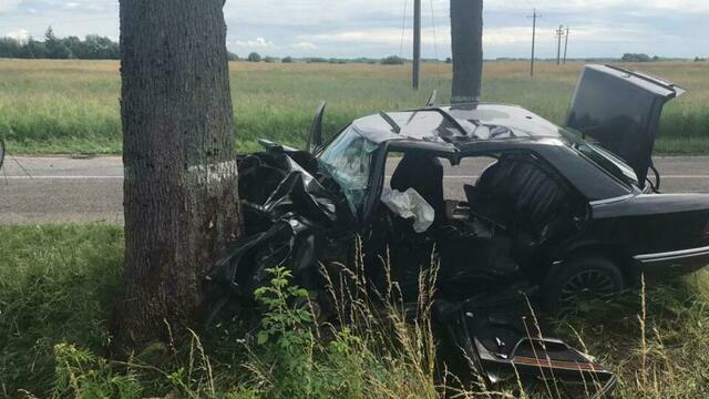 В Озёрском районе легковушка из-за превышения скорости врезалась в дерево (фото)