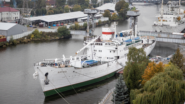 Рыбное меню и кинопоказы: в Музее Мирового океана отпразднуют День ВМФ