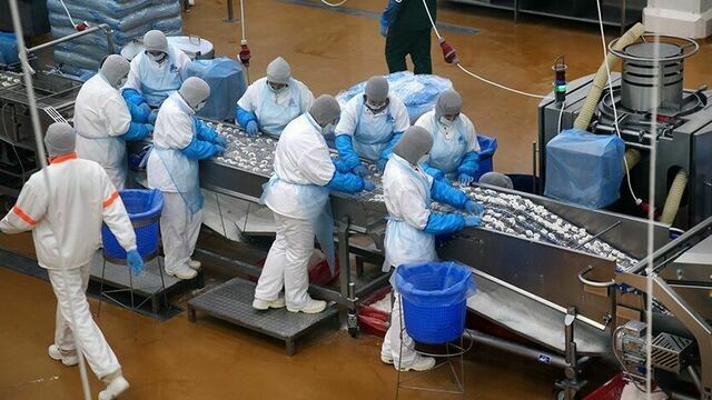 Под Калининградом открывается завод по выпуску полуфабрикатов из мяса птицы