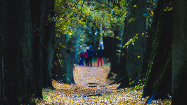 Наказание за поддельный QR-код и ДТП с маршруткой: что случилось в Калининграде и области за выходные