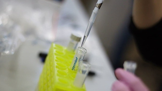 Сколько стоит ЭКО-ребёнок: автор фильма о позднем материнстве рассказала о заморозке яйцеклеток