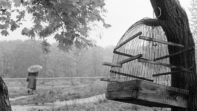 В Калининградском Музее искусств откроется выставка фотографий Станислава Покровского «Отражение»