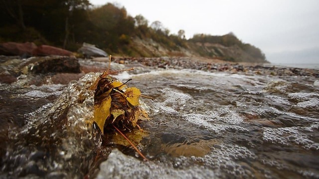 Потерял нюх после ковида: калининградские эксперты назвали запахи, помогающие восстановиться и стать бодрее