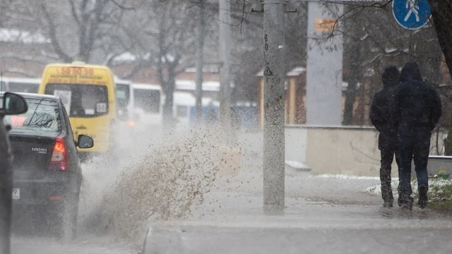 Фото дня: первый снег по-калининградски