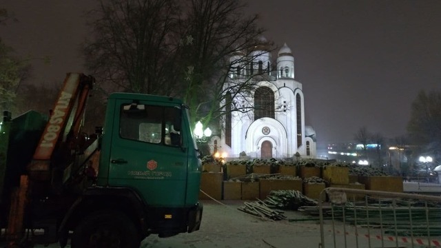 В Калининграде на площади Победы начали устанавливать главную городскую ёлку 