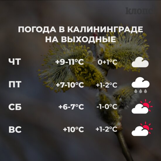 Синоптики рассказали о погоде в Калининграде на первые выходные апреля - Новости Калининграда