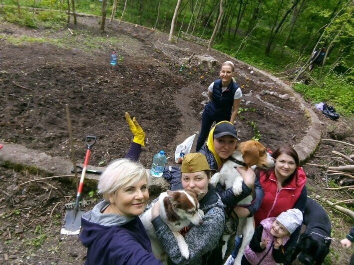 Наткнулись в зарослях на груду камней: в Калининграде супружеская пара восстановила довоенный цветник (фото) - Новости Калининграда | Фото: Инга Долотова