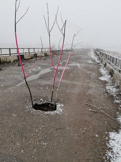 В Славском районе на одном из мостов образовался провал (фото) - Новости Калининграда | Фото: читатель &quot;Клопс&quot;