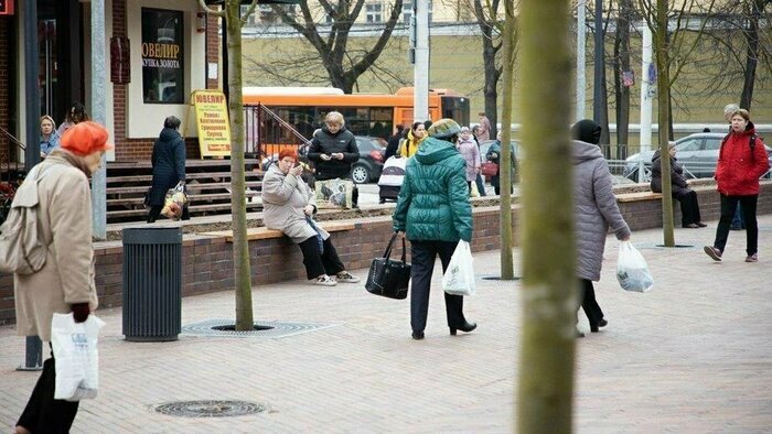 Власти Калининграда анонсировали отключение звуковой рекламы на Центральном рынке - Новости Калининграда | Архив &quot;Клопс&quot;