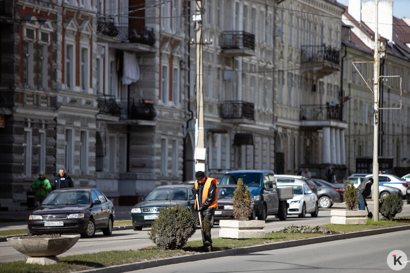 Как живётся в лучшем городе Калининградской области (фоторепортаж) - Новости Калининграда | Фото: Александр Подгорчук / «Клопс»