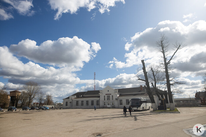 Как живётся в лучшем городе Калининградской области (фоторепортаж) - Новости Калининграда | Фото: Александр Подгорчук / «Клопс»