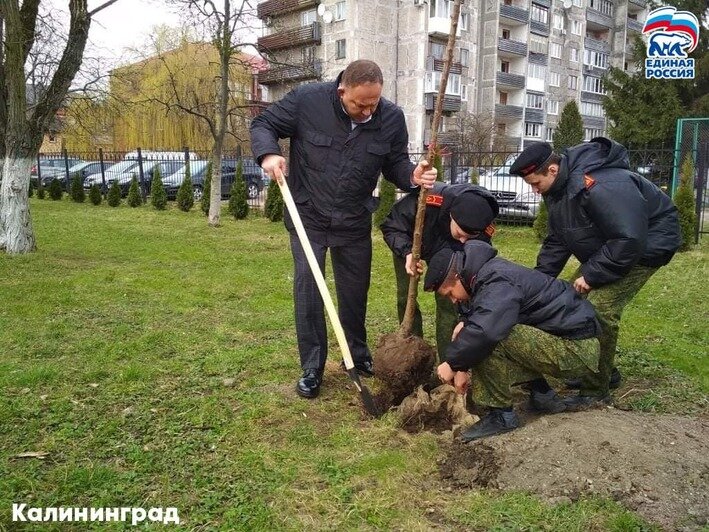 Партия "Единая Россия" присоединилась к акции "Зелёный край" - Новости Калининграда