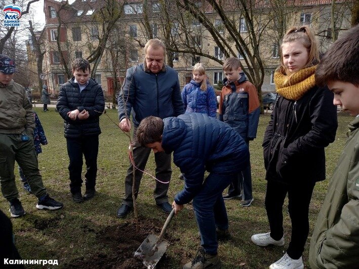 Партия "Единая Россия" присоединилась к акции "Зелёный край" - Новости Калининграда