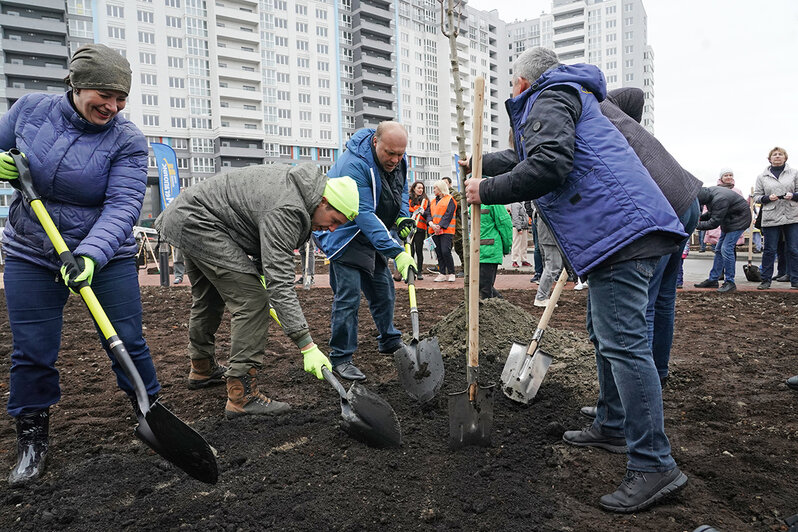 Рябины, клёны, сакуры и дубы: в Калининградской области стартовал проект "Зелёный край" - Новости Калининграда | Фото: пресс-служба правительства Калининградской области