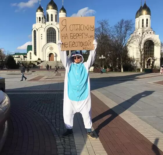 Тюлень в центре Калининграда напомнил, как вести себя при встрече с ластоногими (видео) - Новости Калининграда | Фото: &quot;Клопс&quot;