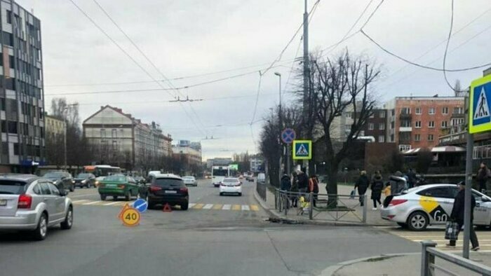 Забастовка таксистов и появление орангутана Антона: что произошло в Калининграде и мире в выходные - Новости Калининграда | Фото: пресс-служба УМВД России по Калининградской области