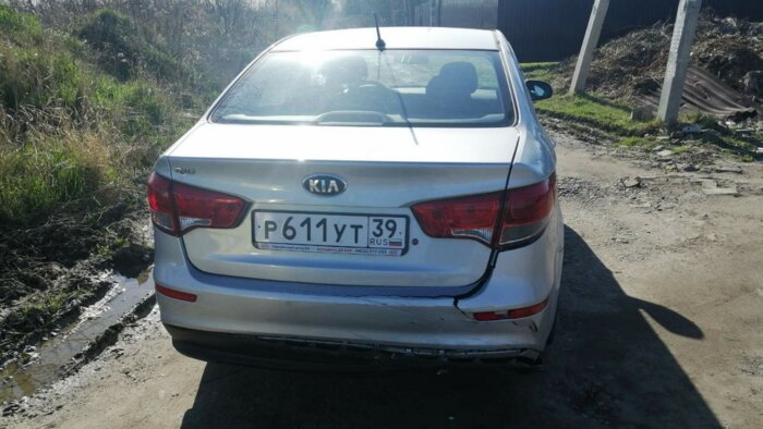 В калининградском СНТ Mercedes врезался в дерево, пострадала пассажирка - Новости Калининграда | Фото: очевидец