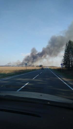 Из-за пала травы под Холмогоровкой образовалась двухкилометровая пробка (видео)  - Новости Калининграда | Фото: очевидец