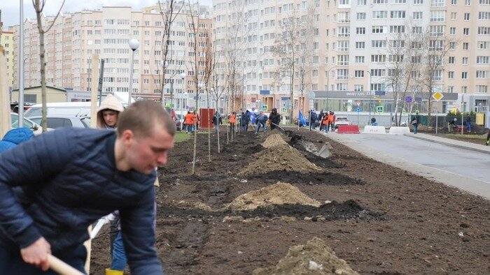 В жилом комплексе «Восток» открылась аллея «Крымская» - Новости Калининграда | Фото предоставлено компанией «Мегаполис»