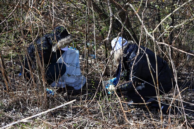 Берег Калининградского залива очистили от мусора в рамках акции «Вода России» (фоторепортаж) - Новости Калининграда