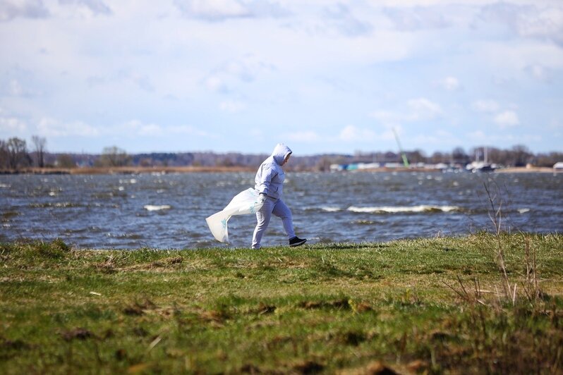 Берег Калининградского залива очистили от мусора в рамках акции «Вода России» (фоторепортаж) - Новости Калининграда