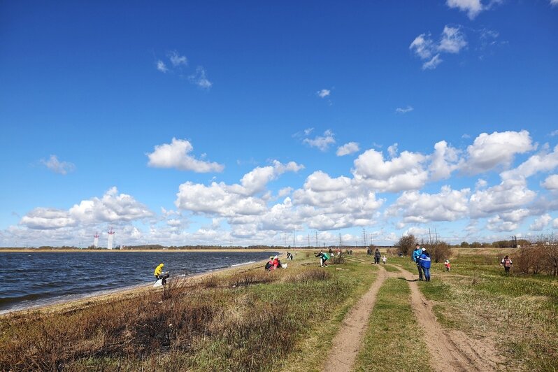 Берег Калининградского залива очистили от мусора в рамках акции «Вода России» (фоторепортаж) - Новости Калининграда