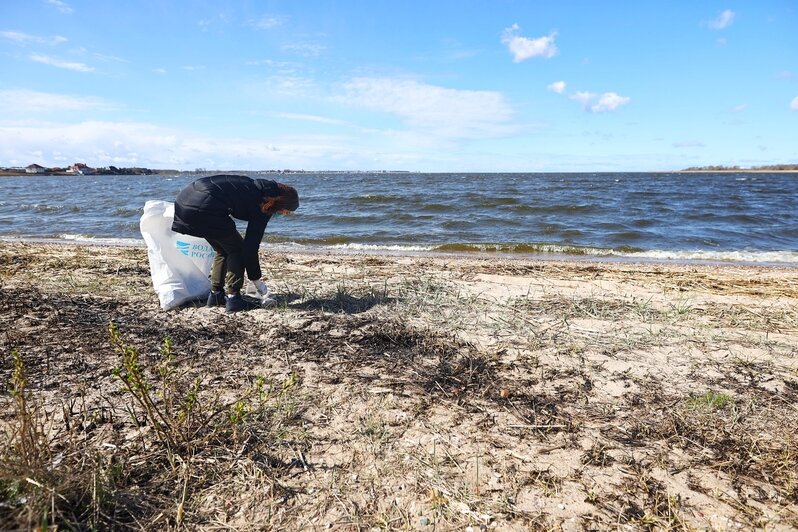 Берег Калининградского залива очистили от мусора в рамках акции «Вода России» (фоторепортаж) - Новости Калининграда