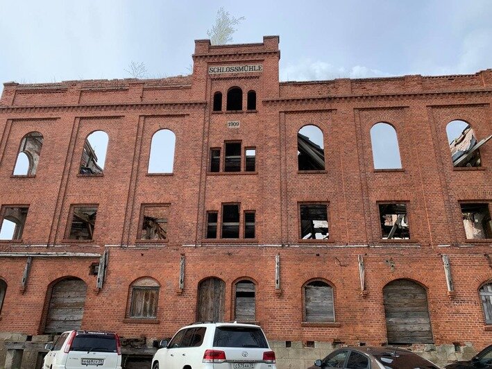 Сбежать от толпы туристов: где отдохнуть в Калининградской области в последние дни майских праздников. Часть вторая - Новости Калининграда | Фото: Михаил Баранов / «Клопс»