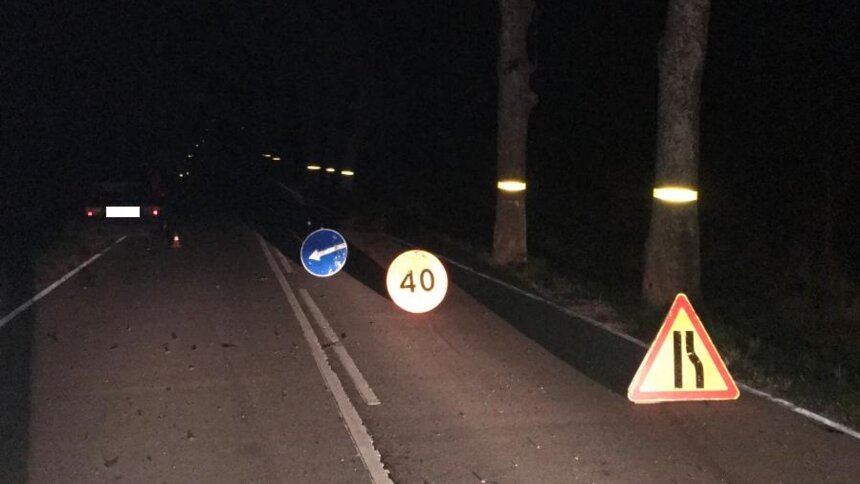 В Озёрском районе Audi сбила корову, пострадали два пассажира - Новости Калининграда | Фото: пресс-служба регионального УМВД