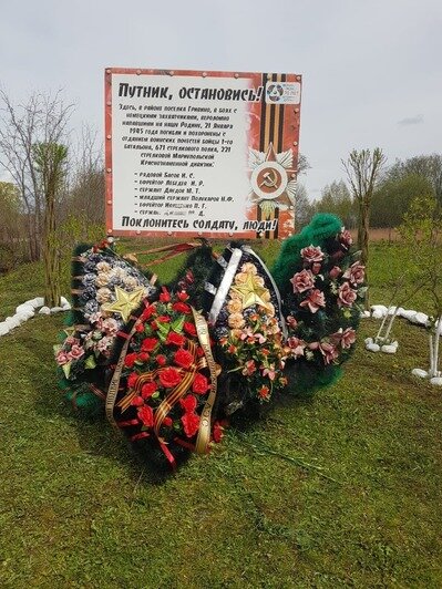 В Калининградской области появилась первая Аллея «Бессмертного полка» - Новости Калининграда