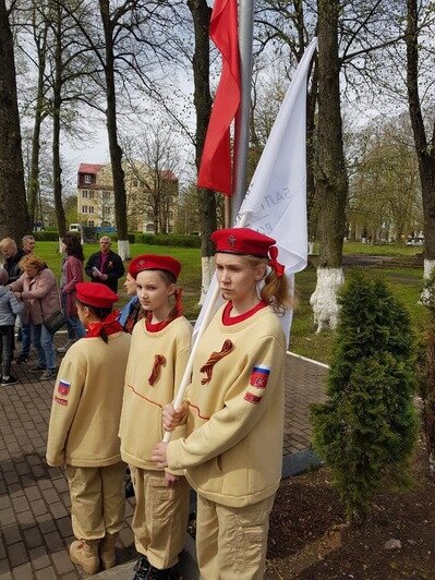 В Калининградской области появилась первая Аллея «Бессмертного полка» - Новости Калининграда