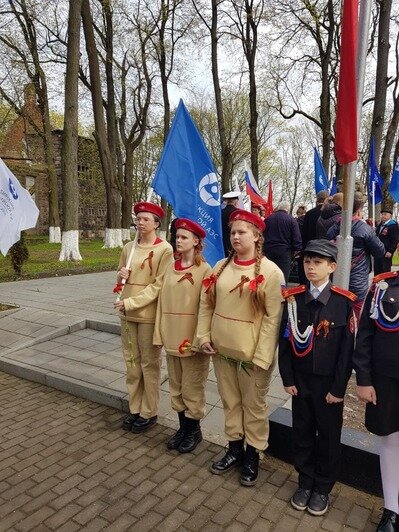 В Калининградской области появилась первая Аллея «Бессмертного полка» - Новости Калининграда