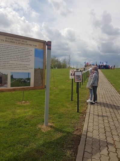 В Калининградской области появилась первая Аллея «Бессмертного полка» - Новости Калининграда