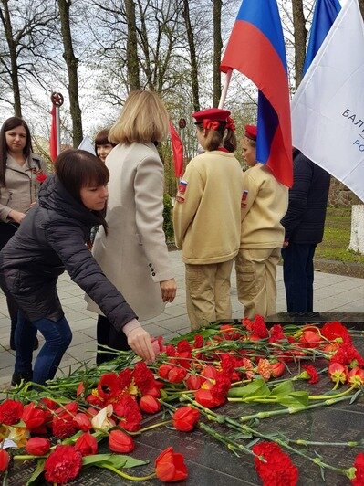 В Калининградской области появилась первая Аллея «Бессмертного полка» - Новости Калининграда