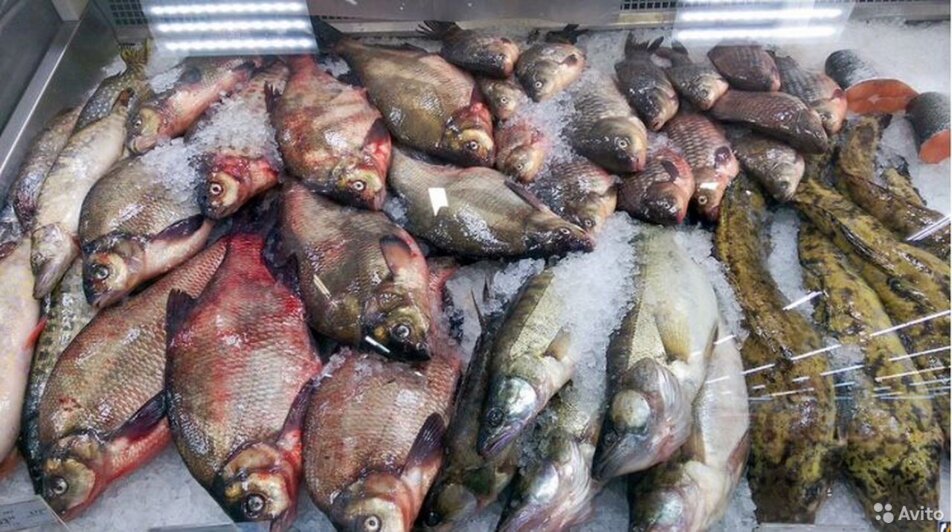 Изобилие со вкусом истории: пять причин посетить «ОСТМАРК | ЯРМАРКУ» на Гагарина - Новости Калининграда