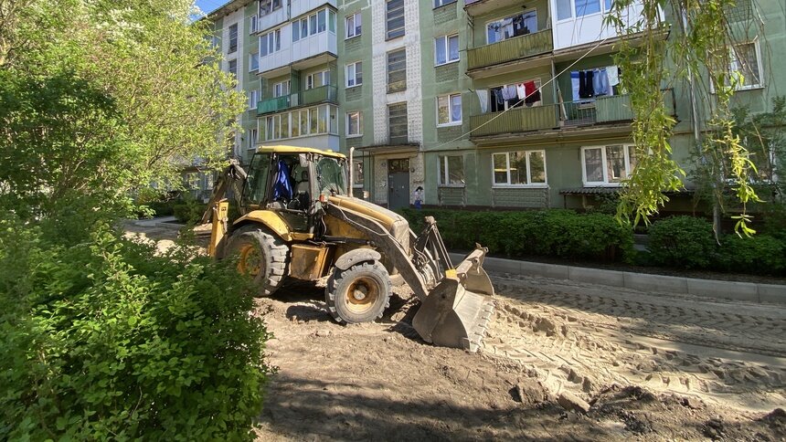 В мэрии прокомментировали ситуацию с вырубкой десятка деревьев во дворе на Стекольной - Новости Калининграда | Александр Подгорчук / «Клопс»