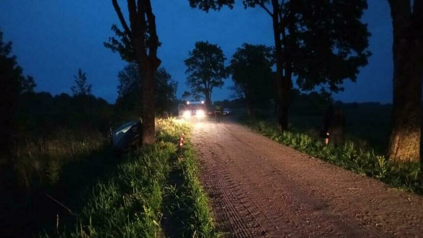 В Озёрском районе легковушка врезалась в дерево  - Новости Калининграда | Фото: пресс-служба УМВД России по Калининградской области